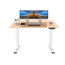 Product image of Flexispot Bamboo Dual Motor Electric Standing Desk