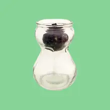 Product image of CaribbeanGarden Hyacinth Forcing Clear Vase