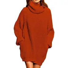 Product image of Pink Queen Women's Loose Turtleneck