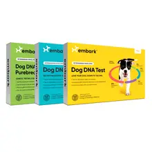 Product image of Embark Dog DNA Test Kit