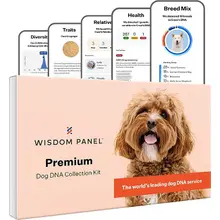 Product image of Wisdom Panel Premium DNA Kit