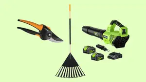 Pruning shears, a rake and a leaf blower with accessories on a green background