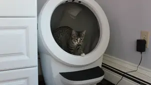 Litter-Robot 4 review