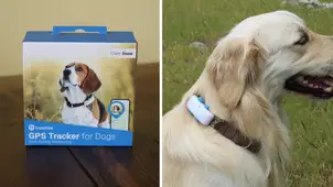Tractive Dog GPS review
