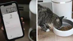 PetLibro Vacuum-Sealed Automatic Cat Feeder Review