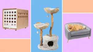 15 pieces of furniture you won’t believe are for your pets