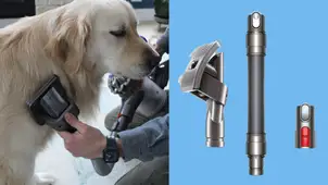 Dyson Pet Grooming Kit Review