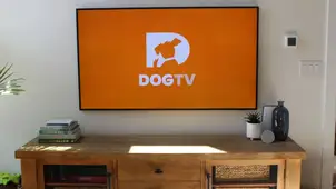 DogTV Review
