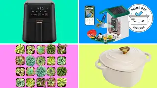 Four products on a colorful background: an air fryer, a collection of succulents, a smart bird feeder, and a heart-shaped dutch oven