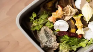 Kitchen scraps in a gray bin for composting