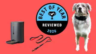 Reviewed’s best pet products of 2026