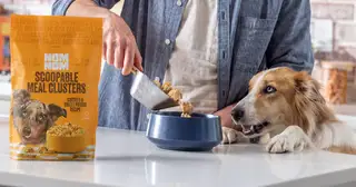 Dog owner filling a dog bowl with dog food while his dog next to him is patiently waiting