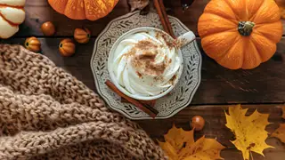 Fall is nearly here—10 products to enjoy the season ahead