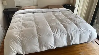 This comfy Pacific Coast down comforter works all year