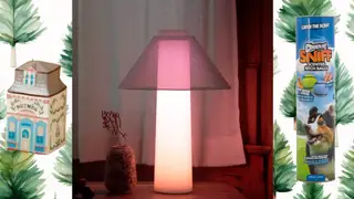 A ceramic house next to a lamp and dog toss balls