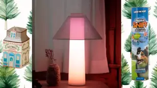A ceramic house next to a lamp and dog toss balls
