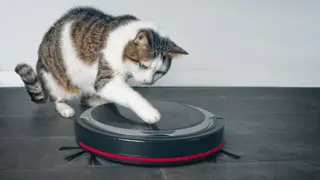 The best vacuums for homes full of fur