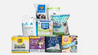 Best cat litters for odor control, clumping & low dust