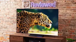 The LG C3 OLED TV displaying a 4K nature documentary in front of a brick wall