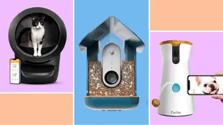 9 pieces of smart tech that make your pets’ lives easier