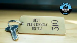 Vote now for the best pet-friendly hotels of 2026!
