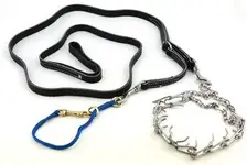 Product image of Leerburg Leather Prong Leash