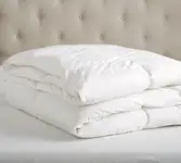 Product image of Pottery Barn Supreme Goose Down Duvet Insert