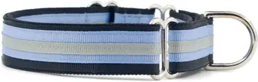 Product image of If It Barks Original Stripe Martingale Collar