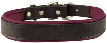 Product image of Perri's Padded Leather Dog Collar