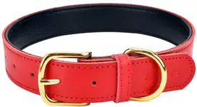 Product image of Aolove Basic Classic Padded Leather Pet Collar