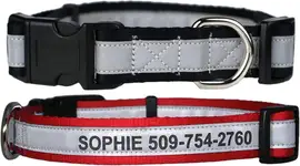 Product image of GoTags Personalized Engraved Reflective Dog Collar with Quick Release Buckle