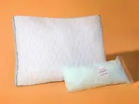 Product image of Coop Home Goods Eden Pillow