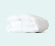 Product image of Leesa Duvet Insert