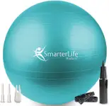 Product image of SmarterLife Products Exercise Ball