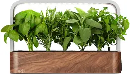 Product image of Edn SmallGarden