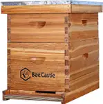 Product image of BeeCastle 8 Frames Beehive