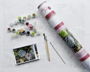 Product image of Pink Picasso Kits Botanical Floral DIY Canvas Paint by Numbers