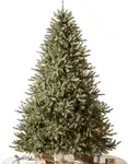 Product image of Balsam Hill Classic Blue Spruce with Clear LED, 6.5'