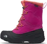 Product image of The North Face Youth Alpenglow V