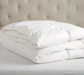 Product image of Pottery Barn Supreme Goose Down Duvet Insert