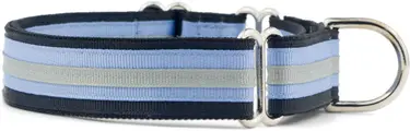 Product image of If It Barks Original Stripe Martingale Collar