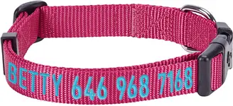 Product image of Blueberry Pet Essentials Personalized Classic Solid Dog Collar