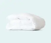 Product image of Leesa Duvet Insert