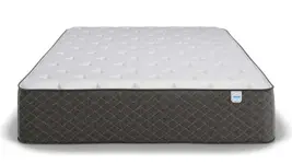 Product image of Bear Star Hybrid