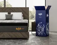 Product image of Nolah Evolution 15”