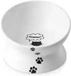 Product image of Y YHY Tilted Cat Bowl