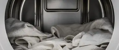 LG DLGX8001W 9-Cu.-Ft. Gas Dryer