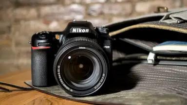 Nikon's D7500 is one of its most appealing DSLRs from a value perspective.