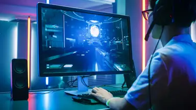 A person sitting at a desk in front of a computer monitor