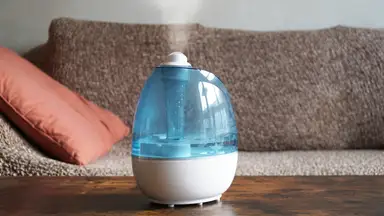 Humidifier